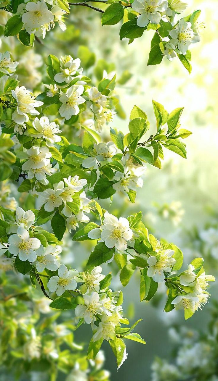 Gieo Quẻ Dịch AI Đầu Năm