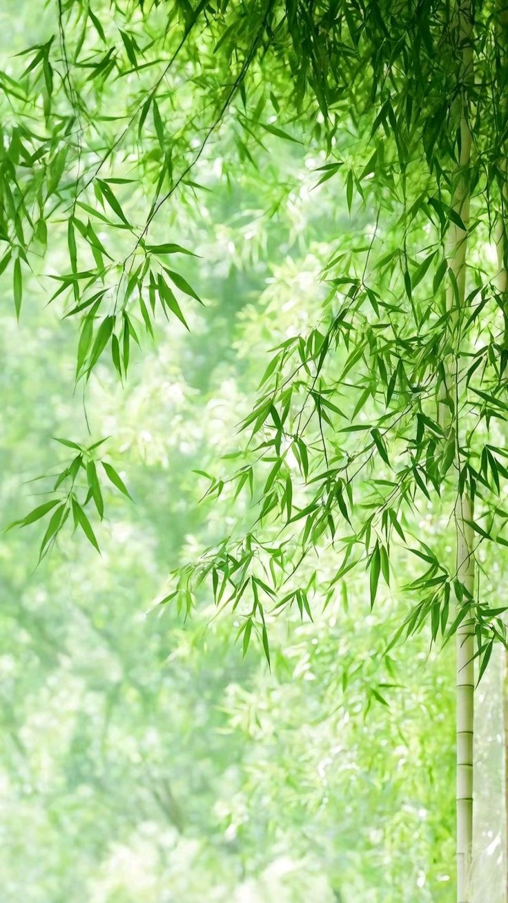Tử Vi AI